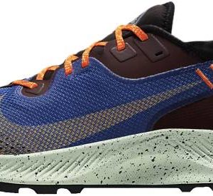 Nike Pegasus Trail 2 GORE-TEX